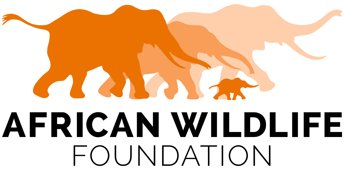 African Wildlife Foundation